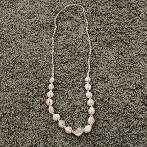 Seashell Necklace